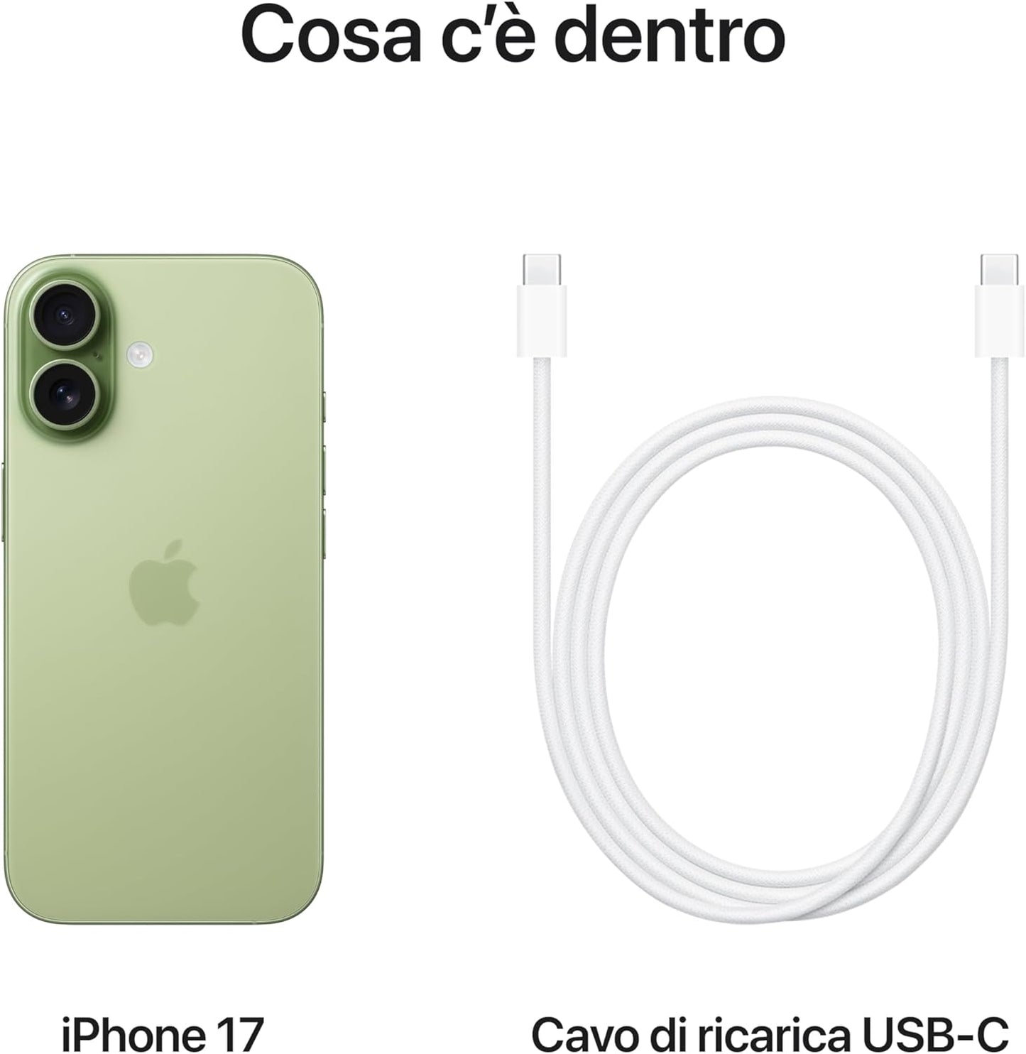 Apple iPhone 17 256 GB: display 6,3" con ProMotion, chip A19 - Salvia