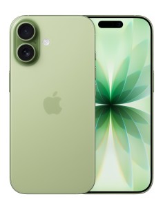 Apple iPhone 17 16 cm (6.3") Doppia SIM iOS 26 5G USB tipo-C 256 GB Salvia