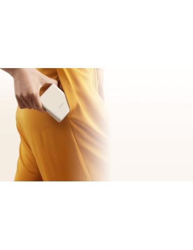 Xiaomi 33W Power Bank 10.000 mAh con Cavo Integrato Tan - BHR9333GL