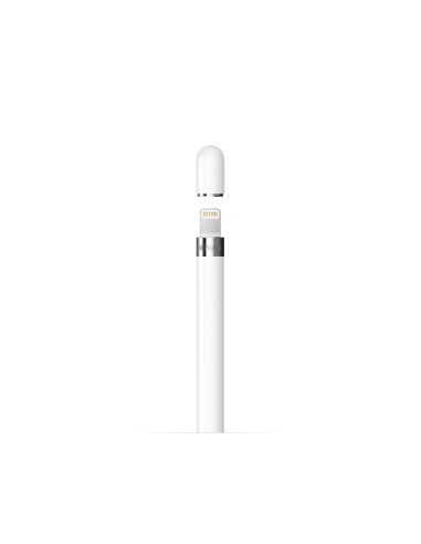 Apple Pencil (1ª generazione) Bianco con adattatore USB-C - MQLY3HN/A
