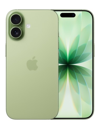 Apple iPhone 17 16 cm (6.3") Doppia SIM iOS 26 5G USB tipo-C 256 GB Salvia