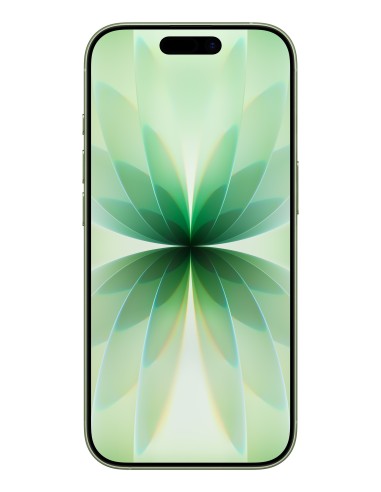 Apple iPhone 17 16 cm (6.3") Doppia SIM iOS 26 5G USB tipo-C 256 GB Salvia