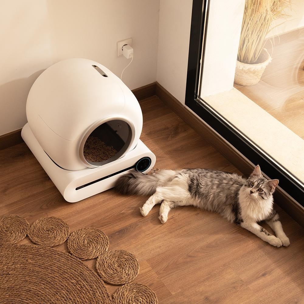 Cecotec Pumba 8500 Cleankitty Smart, White - 4