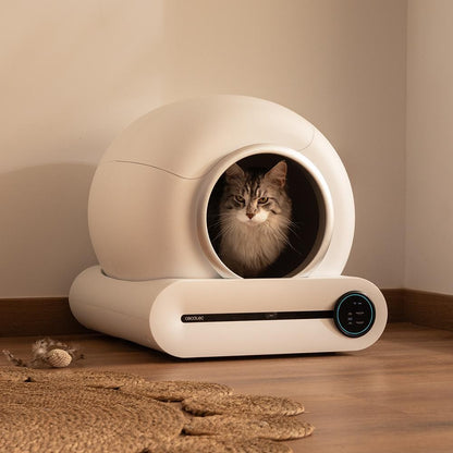 Cecotec Pumba 8500 Cleankitty Smart, White - 6