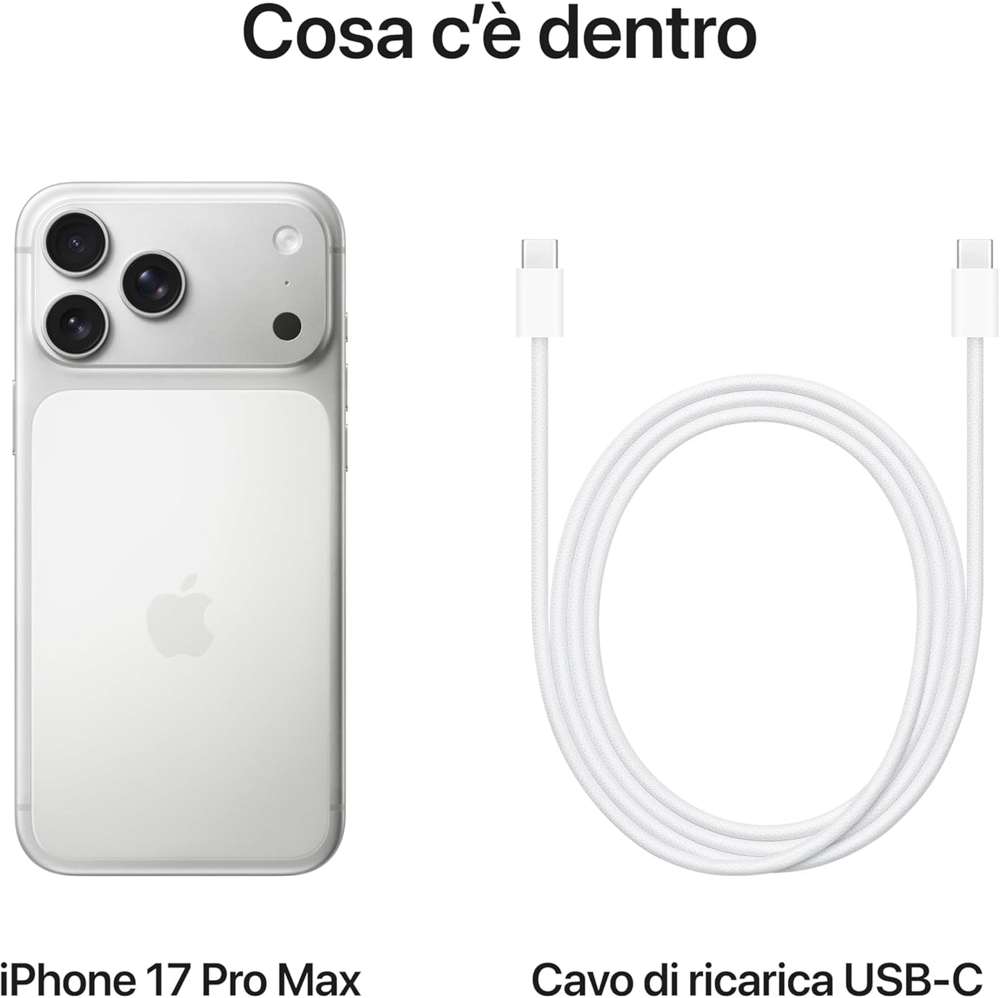 Apple iPhone 17 Pro Max 256 GB: display 6,9", ProMotion fino a 120Hz, chip A19 Pro - Argento