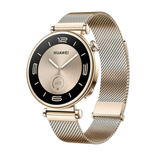 Watch Huawei Watch GT4 41mm (Aurora-B19M) - Gold