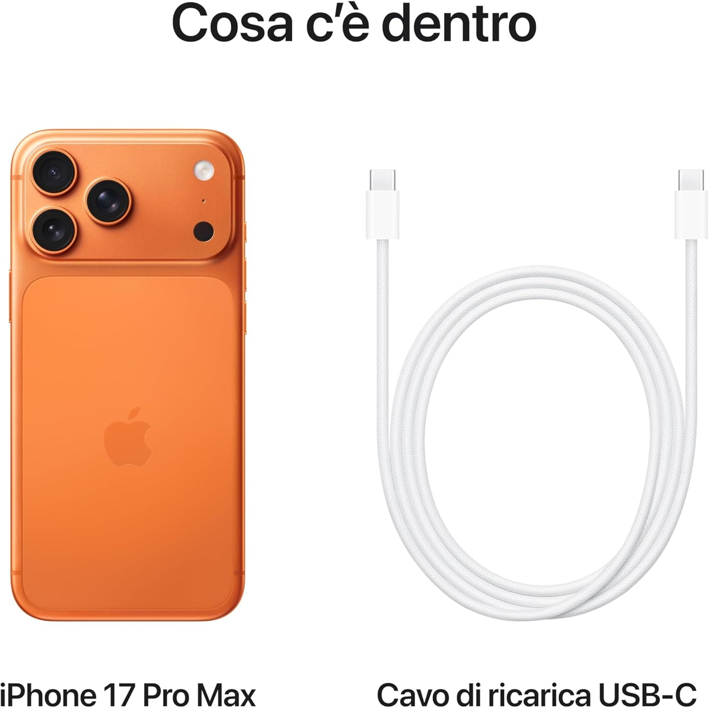 Apple iPhone 17 Pro Max 256 GB: display 6,9", ProMotion fino a 120Hz, chip A19 Pro - Arancione cosmico