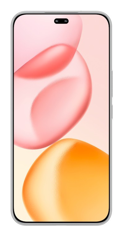 Honor 400 Pro 17 cm (6.7") MagicOS 9.0 5G 12 GB 512 GB 5300 mAh Grigio
