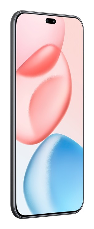 Honor 400 Pro 17 cm (6.7") MagicOS 9.0 5G 12 GB 512 GB 5300 mAh Nero