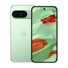 Google Pixel 9 5G Dual Sim 12GB RAM 256GB - Wintergreen