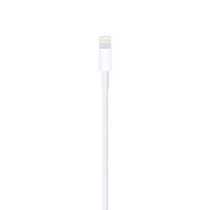 Apple Cavo da Lightning a USB (1 m)