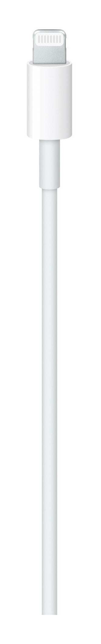 Apple Cavo da USB‑C a Lightning (2 m)