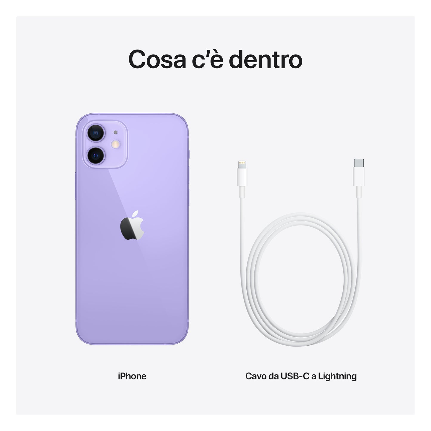 Apple iPhone 12 15,5 cm (6.1") Doppia SIM iOS 14 5G 64 GB Viola