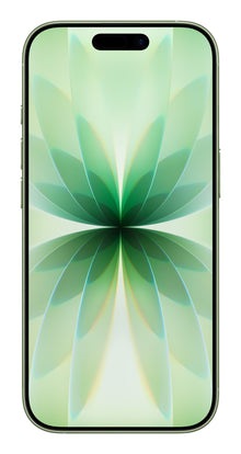 Apple iPhone 17 16 cm (6.3") Doppia SIM iOS 26 5G USB tipo-C 256 GB Salvia