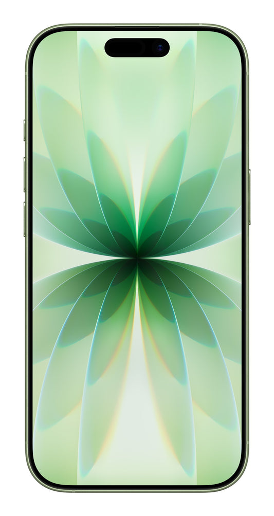 Apple iPhone 17 16 cm (6.3") Doppia SIM iOS 26 5G USB tipo-C 256 GB Salvia