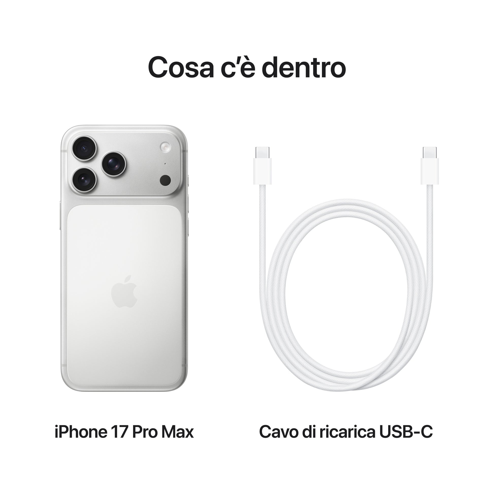 Apple iPhone 17 Pro Max 256GB Argento