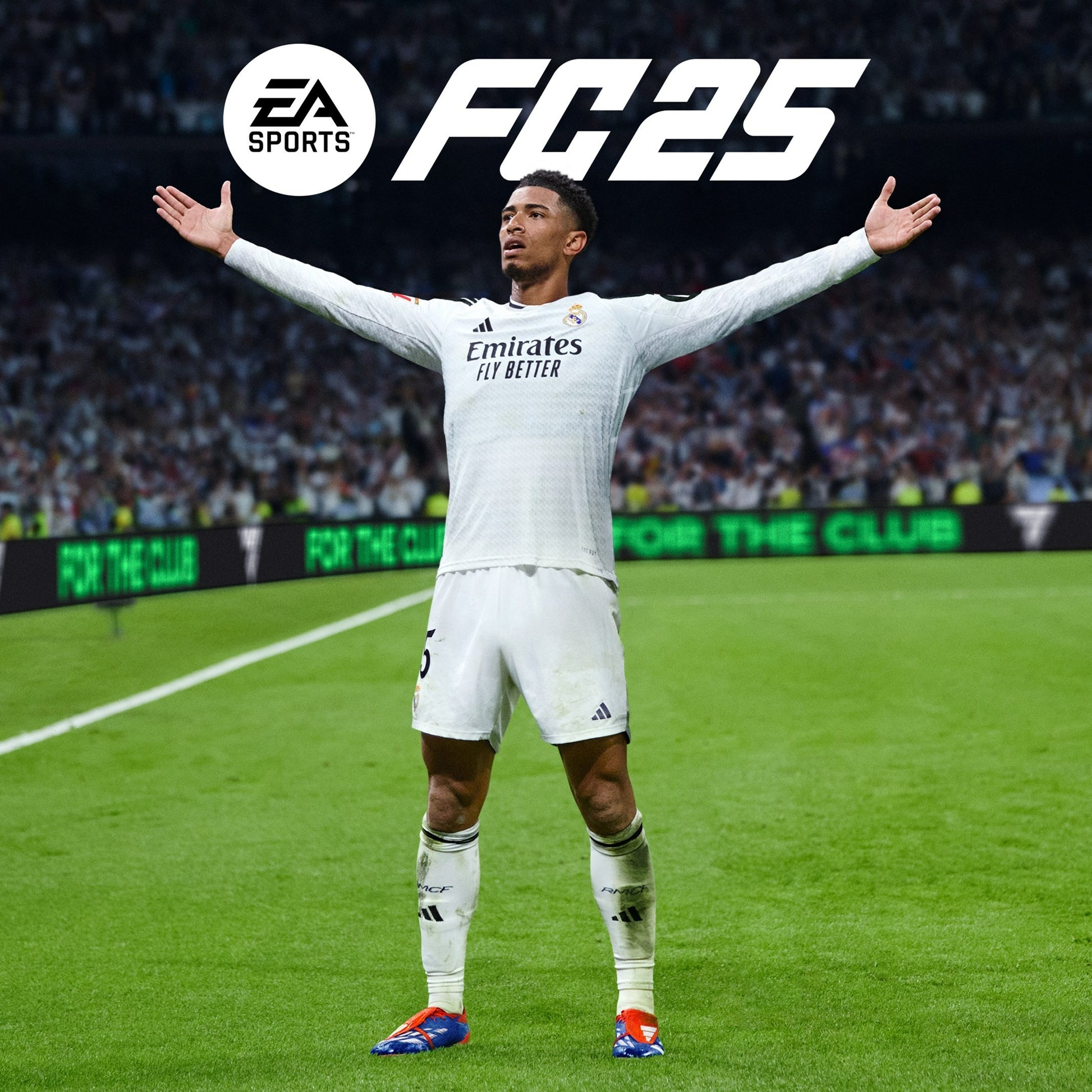 Electronic Arts EA Sports FC 25 Standard Inglese PlayStation 4