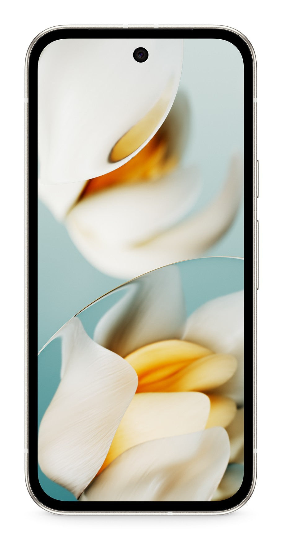 Google Pixel 9a 16 cm (6.3") Doppia SIM Android 15 5G USB tipo-C 8 GB 128 GB 5100 mAh Grigio