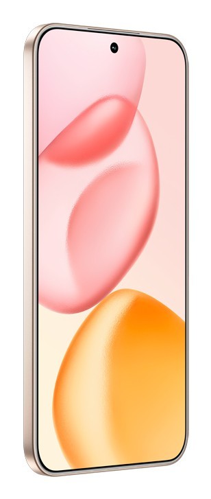 Honor 400 16,6 cm (6.55") MagicOS 9.0 5G 8 GB 256 GB 5300 mAh Oro