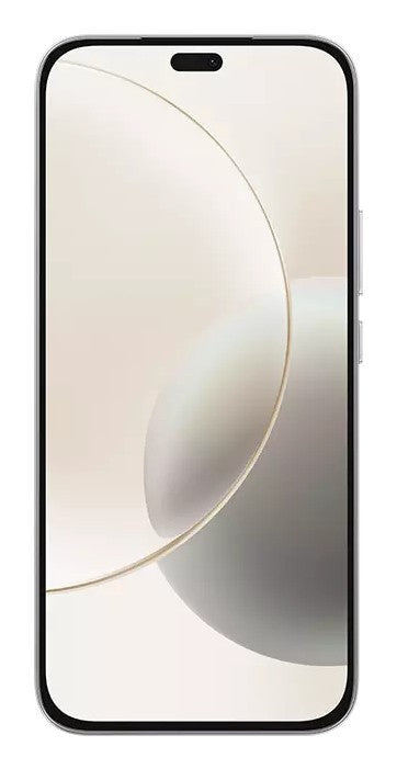 Honor 400 Lite 17 cm (6.7") Doppia SIM MagicOS 9.0 5G Micro-USB 8 GB 256 GB 5230 mAh Grigio