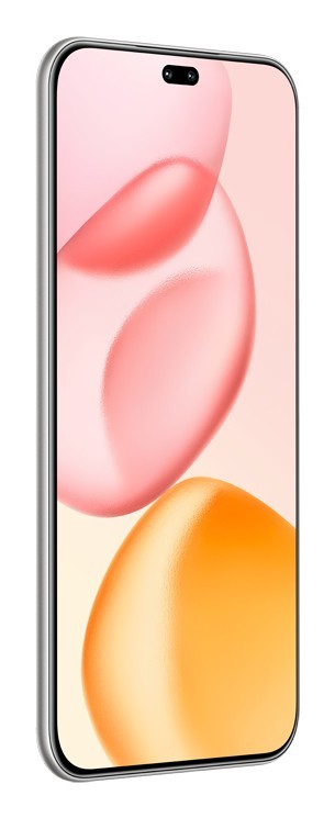 Honor 400 Pro 17 cm (6.7") MagicOS 9.0 5G 12 GB 512 GB 5300 mAh Grigio