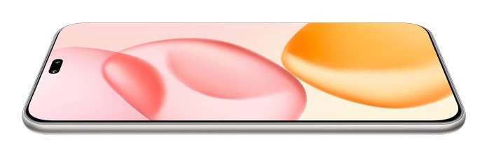 Honor 400 Pro 17 cm (6.7") MagicOS 9.0 5G 12 GB 512 GB 5300 mAh Grigio