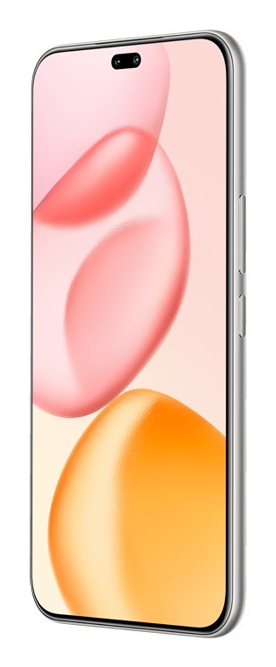 Honor 400 Pro 17 cm (6.7") MagicOS 9.0 5G 12 GB 512 GB 5300 mAh Grigio