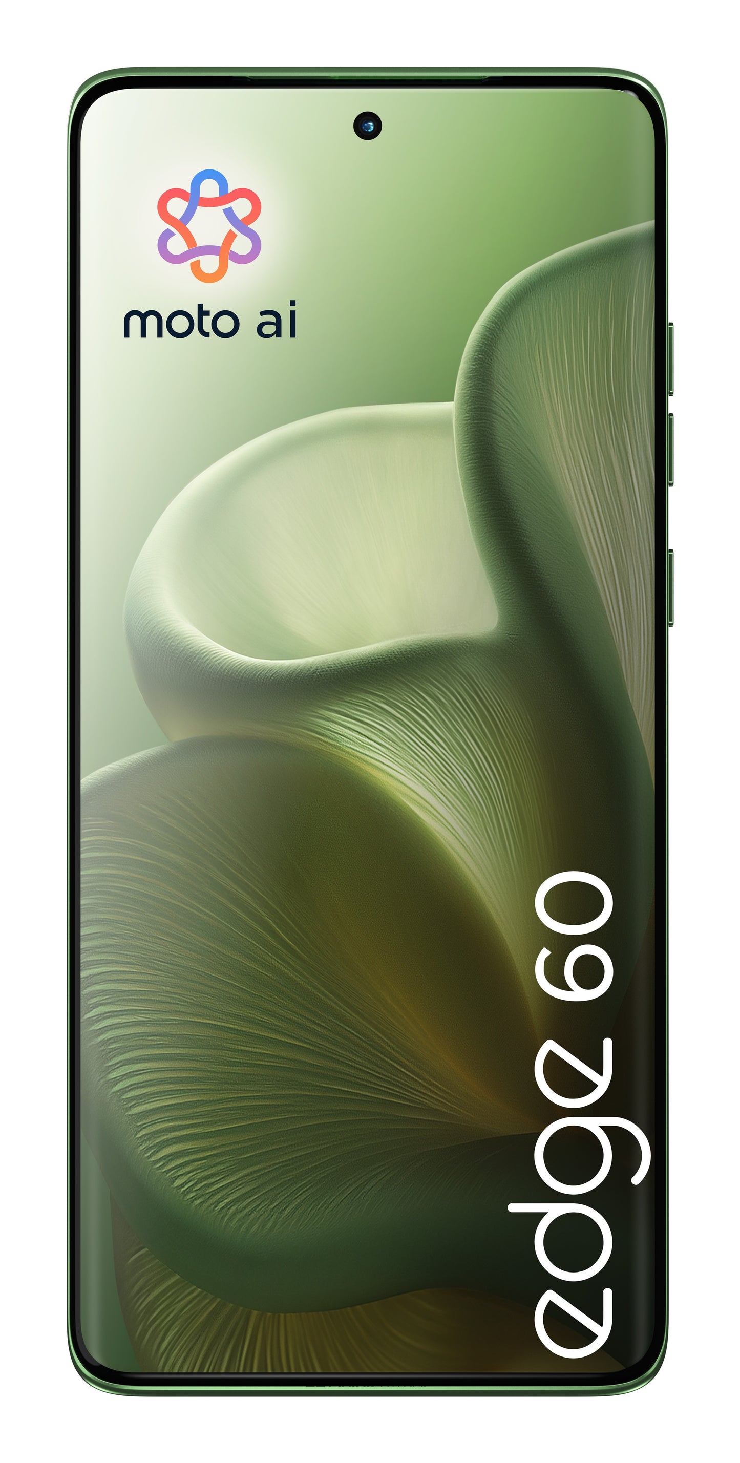 Motorola edge 60 16,9 cm (6.67") Doppia SIM Android 15 5G USB tipo-C 8 GB 256 GB 5200 mAh Verde