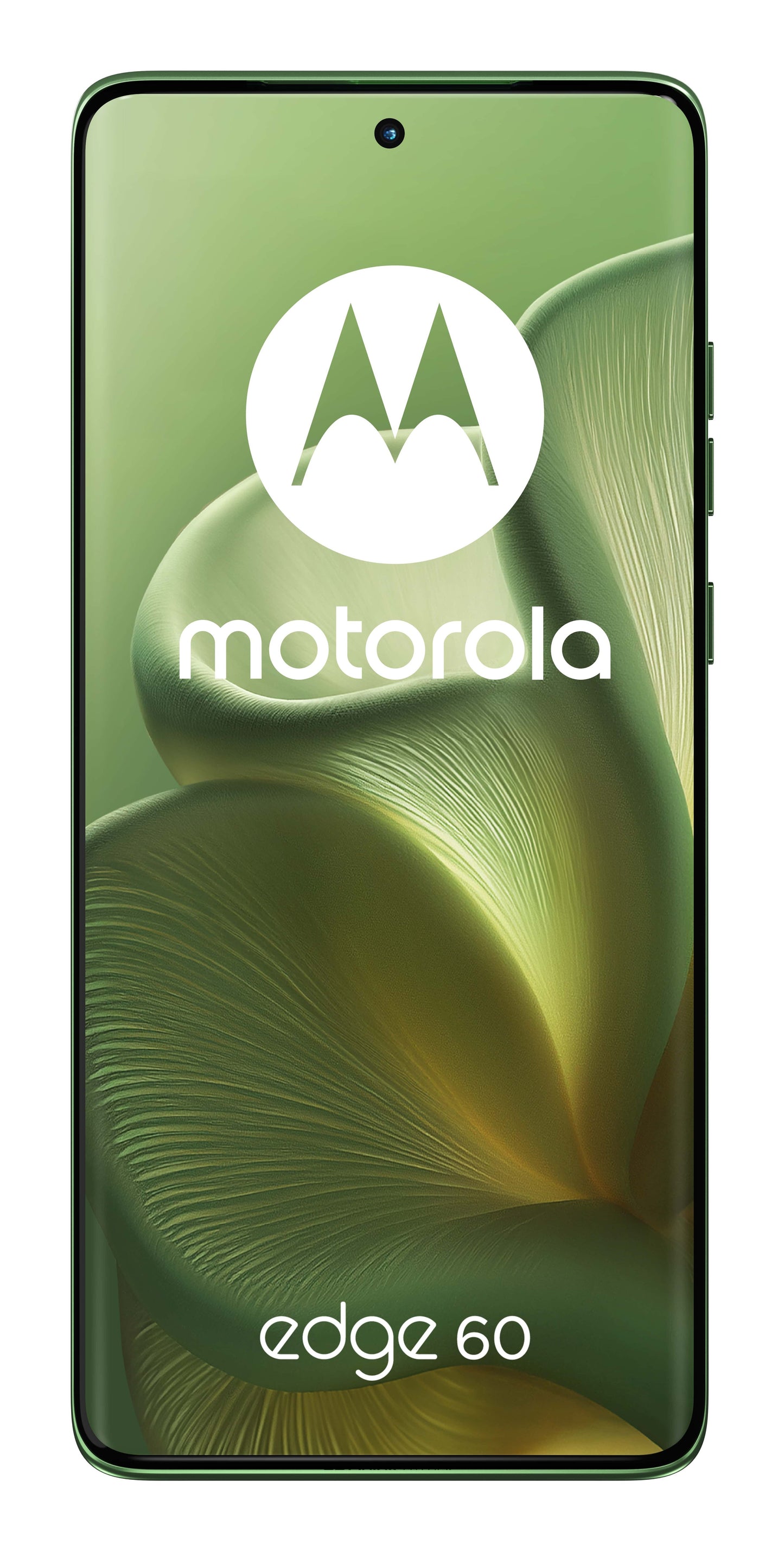 Motorola edge 60 con Moto AI (8/256GB, Fotocamera 50+50+10MP, selfie 50MP, Display 6.67" pOLED 120Hz, MediaTek Dimensity 24M,