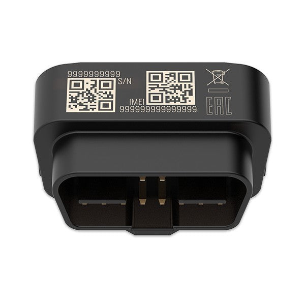 Teltonika FMB020 localizzatore e cercatore GPS Auto Nero