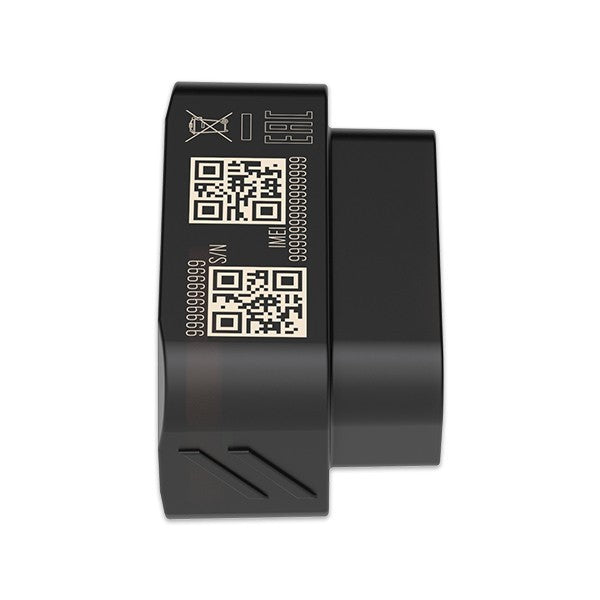 Teltonika FMB020 localizzatore e cercatore GPS Auto Nero