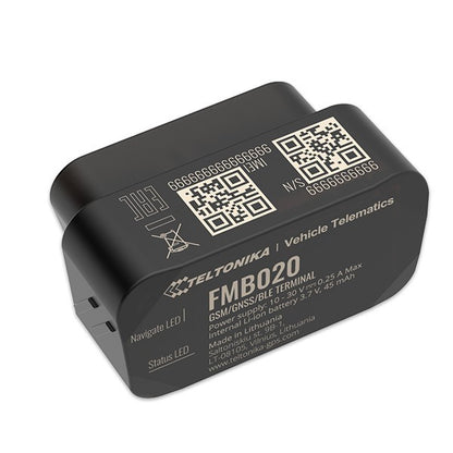 Teltonika FMB020 localizzatore e cercatore GPS Auto Nero
