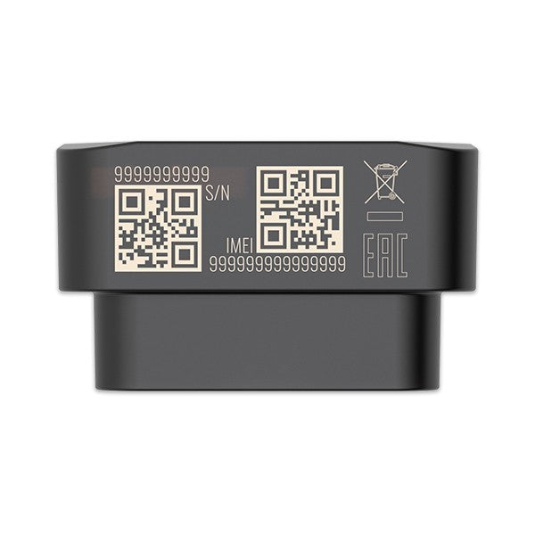 Teltonika FMB020 localizzatore e cercatore GPS Auto Nero