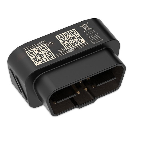 Teltonika FMB020 localizzatore e cercatore GPS Auto Nero