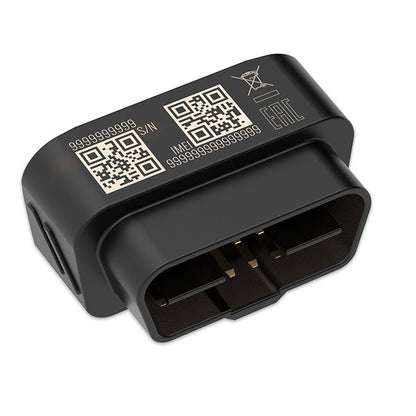 Teltonika FMB020 localizzatore e cercatore GPS Auto Nero