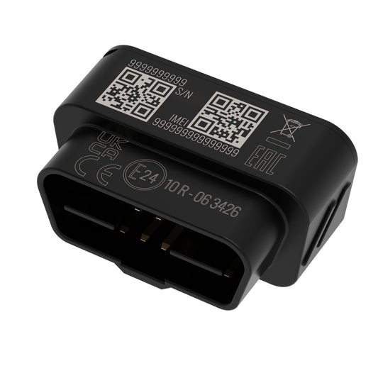 Teltonika FMB020 localizzatore e cercatore GPS Auto Nero