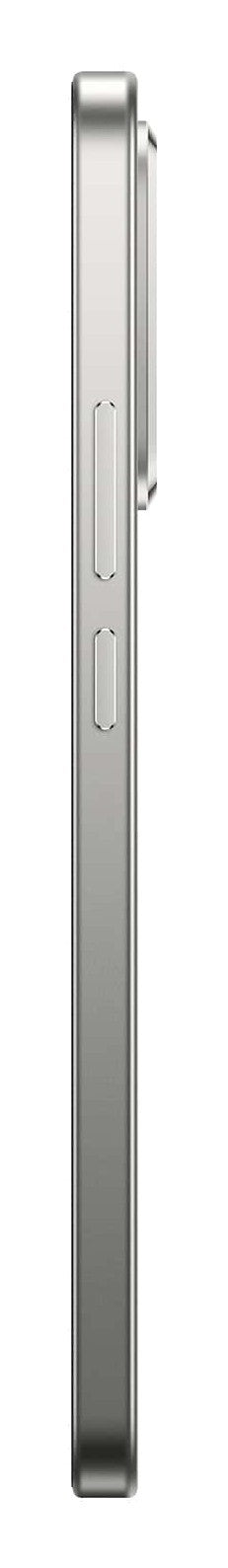 Xiaomi 15T 17,4 cm (6.83") 12 GB 256 GB 5500 mAh Grigio